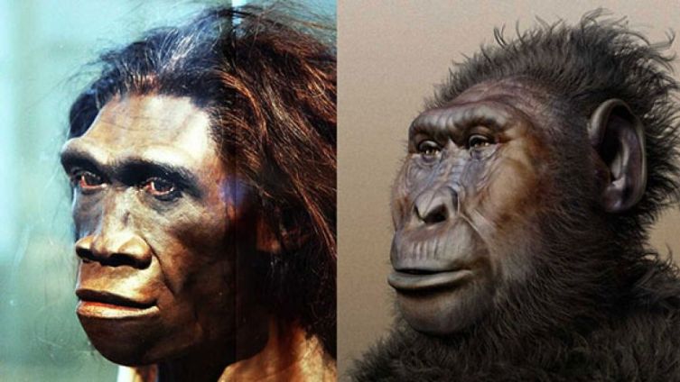 150万年前のアフリカで異なる2種の初期人類が同じ場所で共存していたことが足跡から判明 | カラパイア
