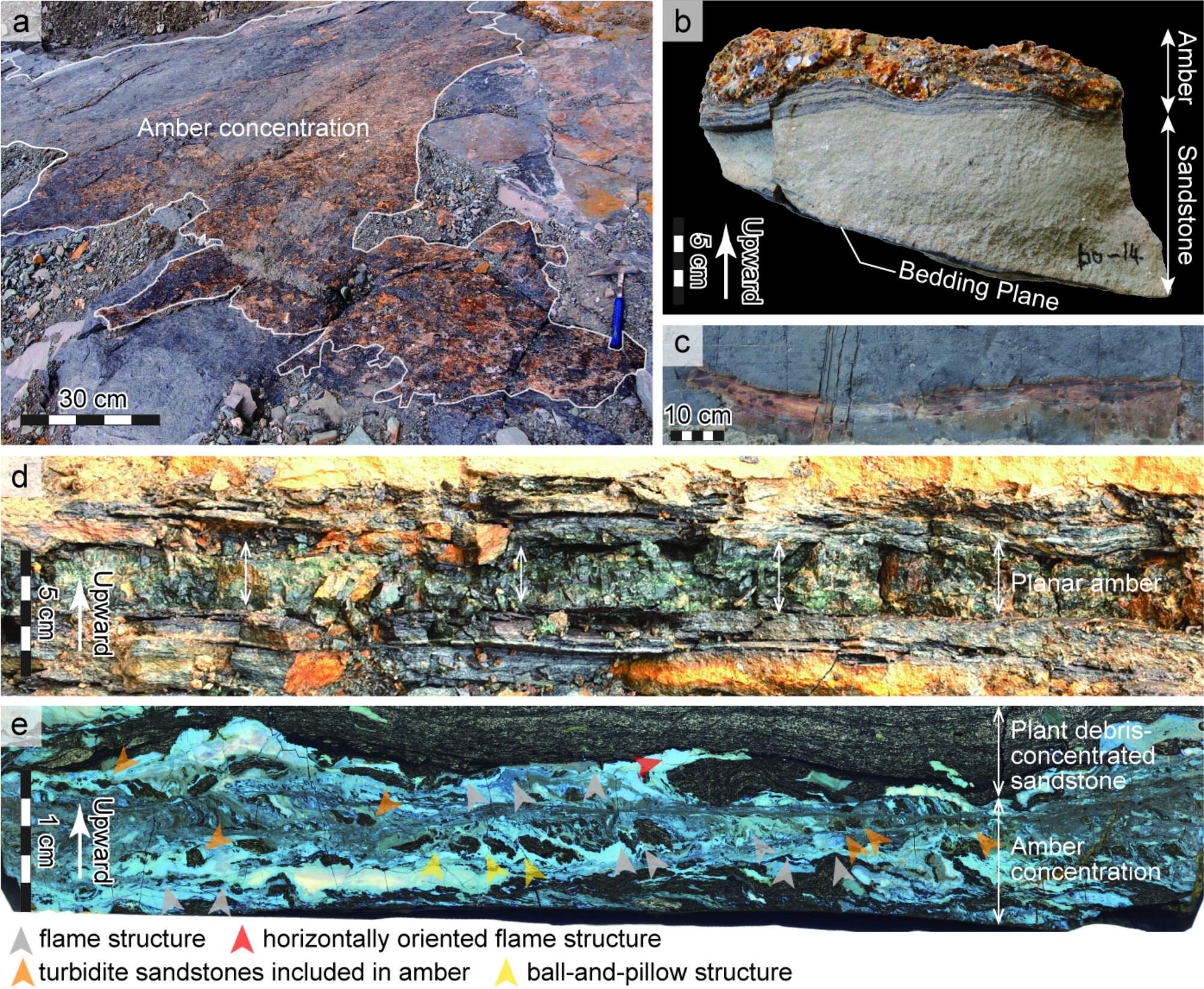 北海道で発見された琥珀が伝える、白亜紀に起きた津波の記憶 | カラパイア