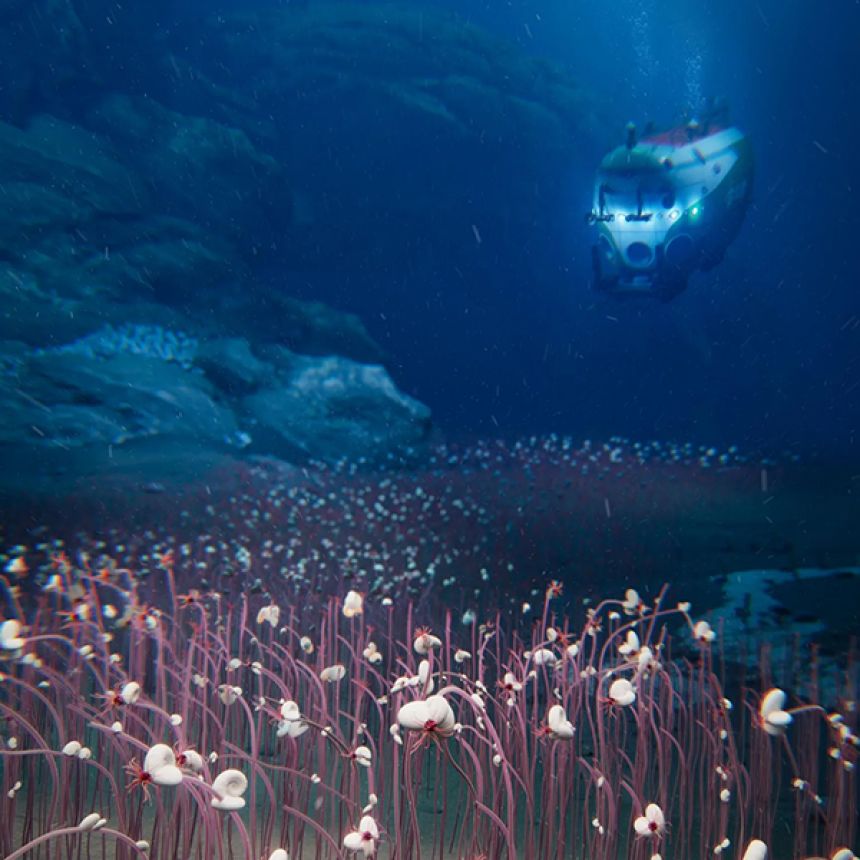 深海9500m以下の闇に潜む「エイリアン」たち 地球最深の生態系を発見