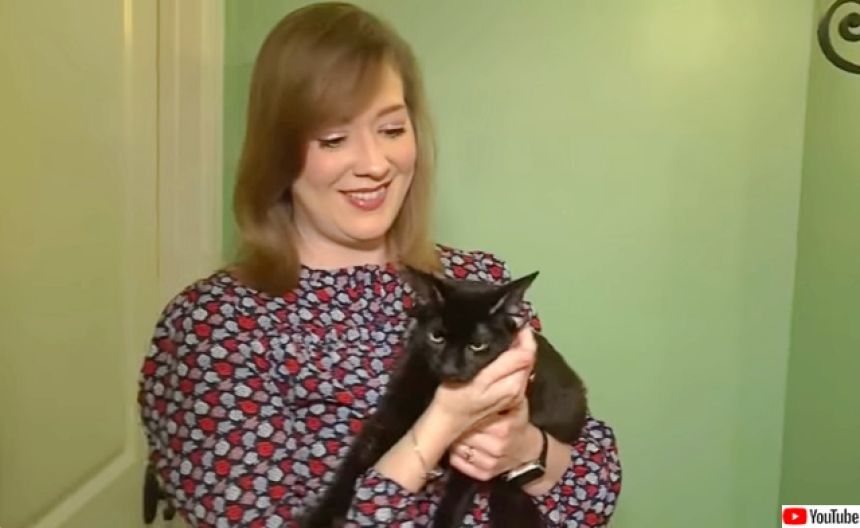 四只耳朵和卷起来的尾巴。外观独特的黑猫在SNS上很受欢迎