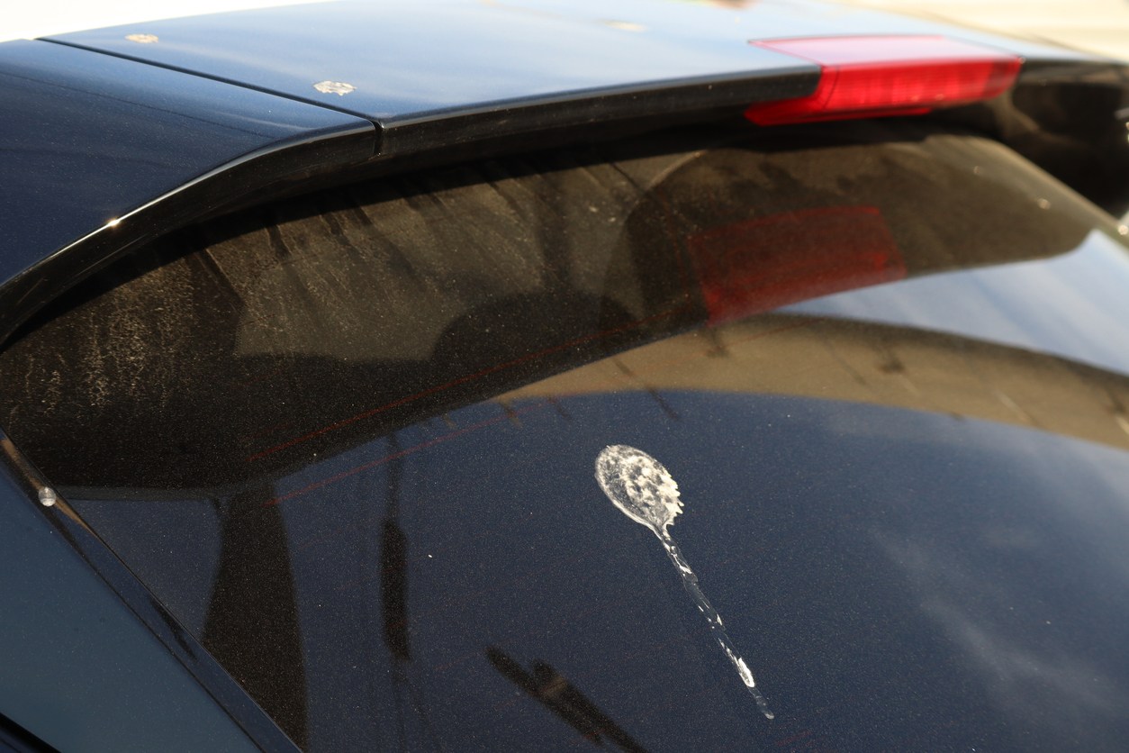 鳥にフンを落とされやすい車ランキング（アメリカ）