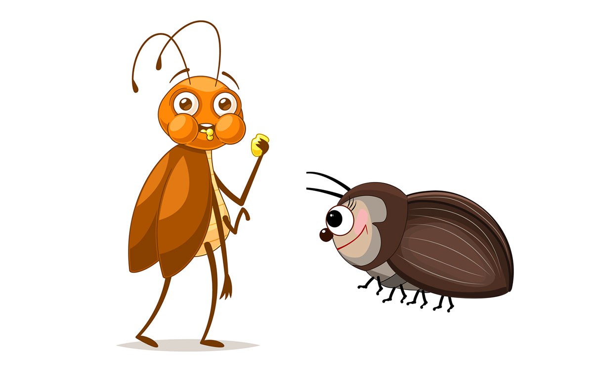 お互いの翅を食べて愛の儀式を行うクチキゴキブリ。浮気相手は容赦なく撃退（日本研究）