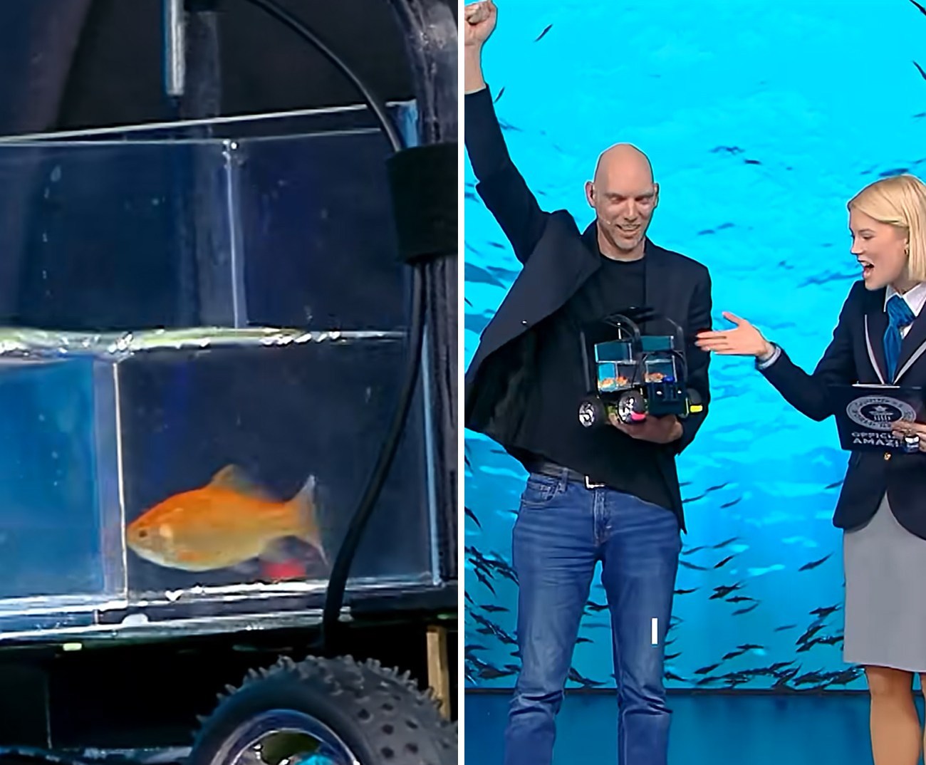 金鱼“开车”认定吉尼斯世界纪录。一分钟跑完12.28米