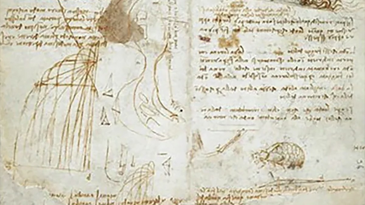 ダ・ヴィンチの水工学の研究メモに描かれた甲虫の謎。媚薬の効能を知ってスケッチした可能性
