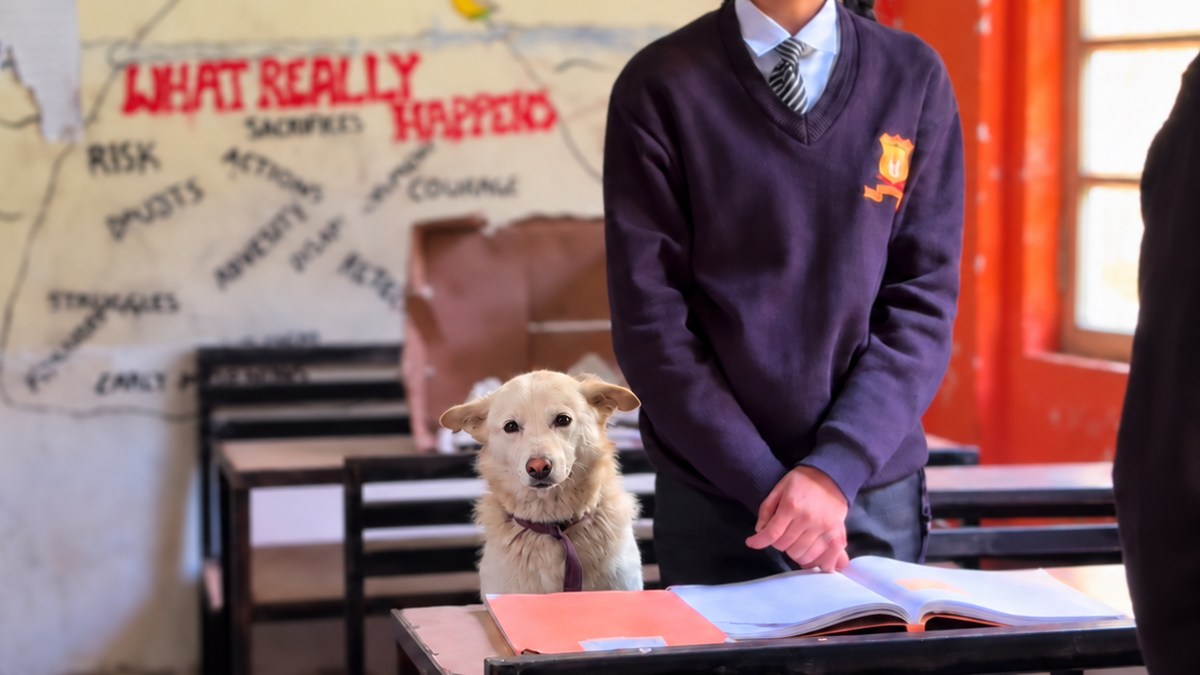 飼い主が好きすぎて学校に来てしまった犬、しれっと座って生徒きどり