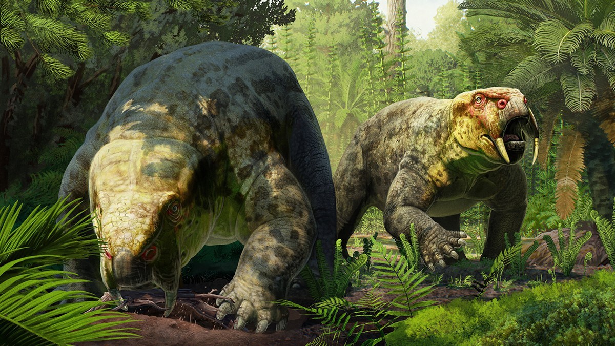 2億4000万年前の化石は新種の草食動物。最古の恐竜の起源が塗り替わる可能性